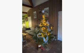 Bonnes Fêtes de fin d'Année, Meilleurs Voeux pour 2026