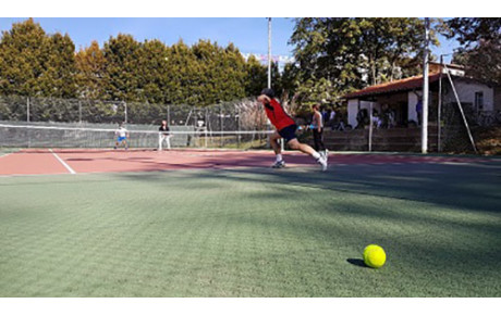 Stages Février / Mars 2020